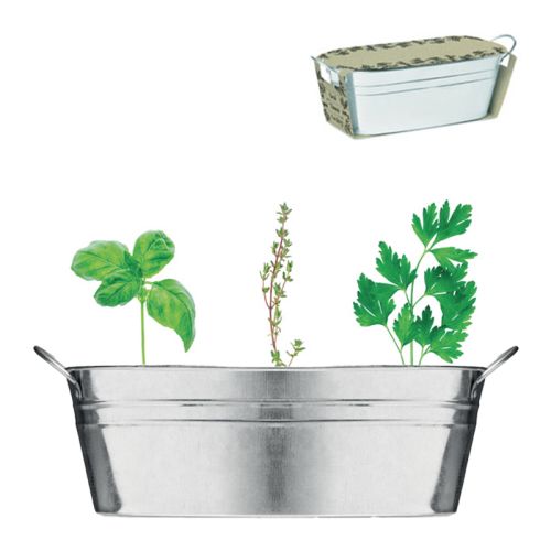 Zink plantekasse med krydderurter - Billede 5